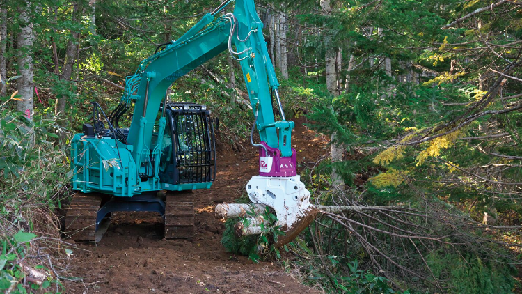 forestry_1