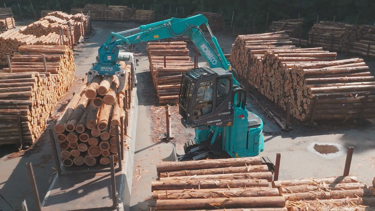 forestry_12