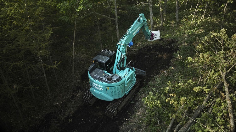 forestry_3