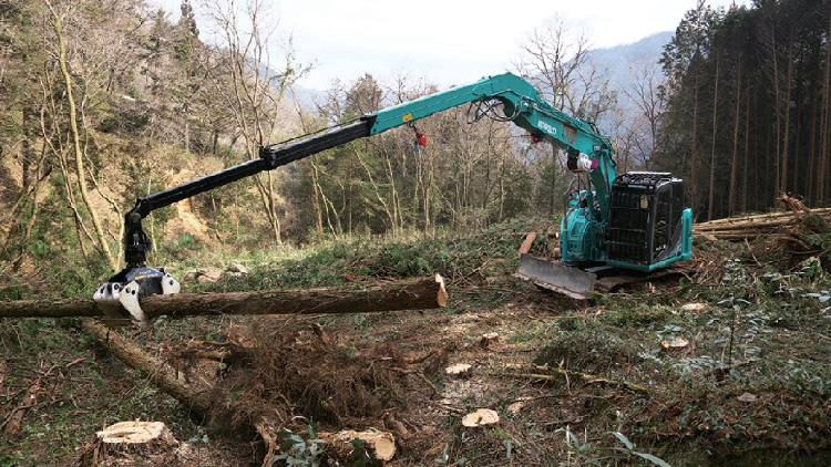 forestry_6