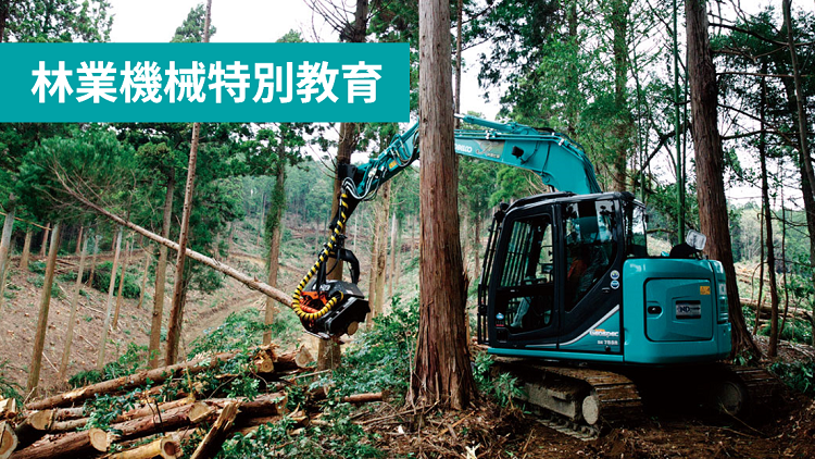 forestry_pickup_05