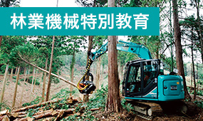 pickup_forestry_special