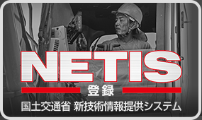 related-links-netis